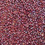 Organic Adzuki Beans: A Nutrient-Packed Superfood