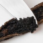 Madagascar Vanilla Beans: The Essence of Culinary Delight